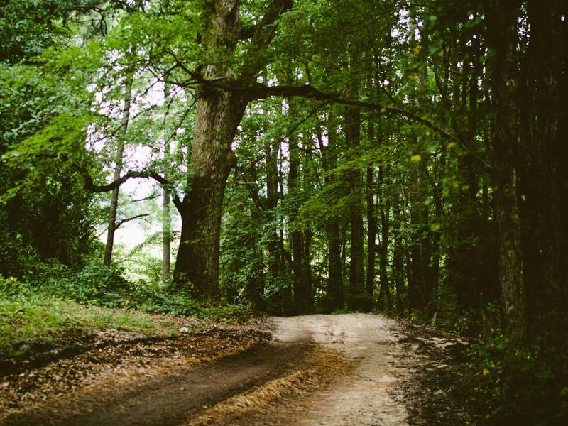 sudoku sound effects