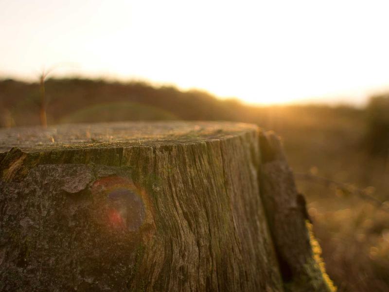 sudoku sound effects screenshot 5